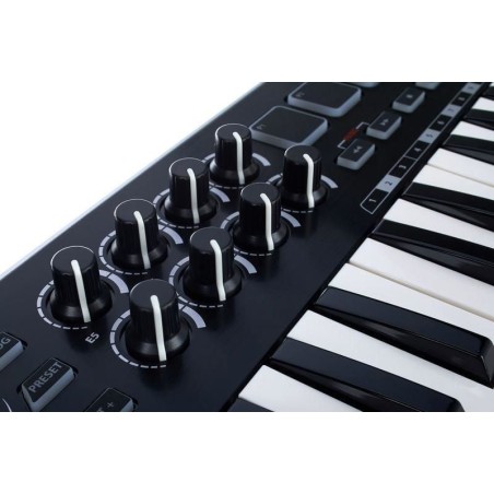 Samson Graphite M25