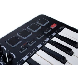 Samson Graphite M25