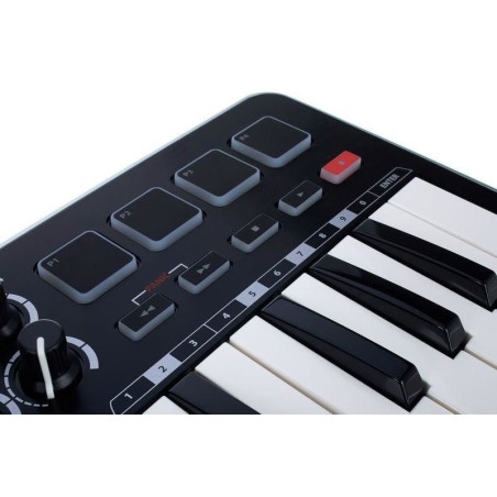 Samson Graphite M25
