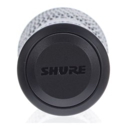 Shure BLX288E/SM58 M17