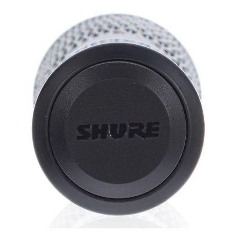 Shure BLX288E/SM58 M17