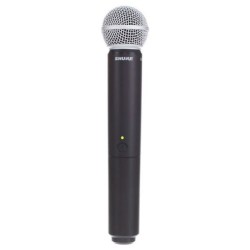 Shure BLX288E/SM58 M17