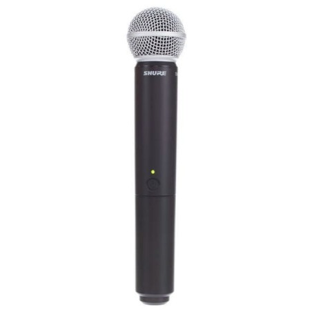 Shure BLX288E/SM58 M17
