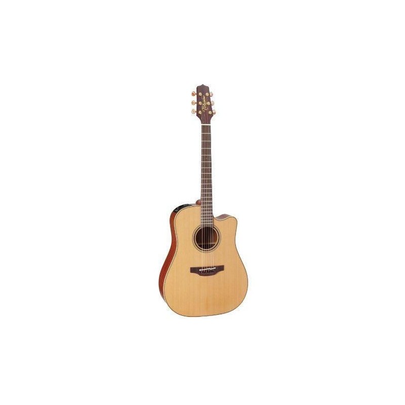 Takamine P3DC