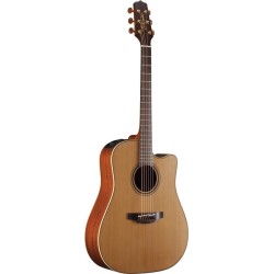 Takamine P3DC