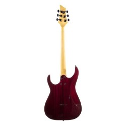 Schecter Banshee Extreme 6 R-ARB