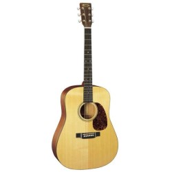 Martin D-16GT