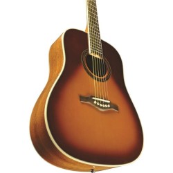 Eko One D Vintage Burst