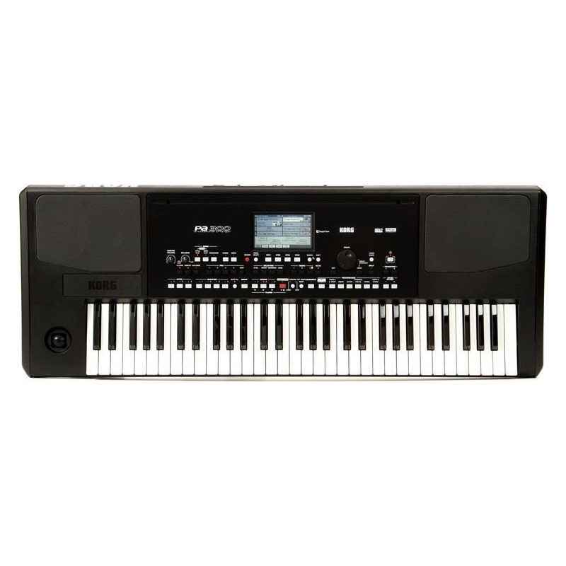 KORG PA300