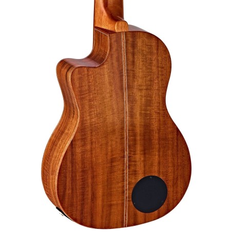 Ortega Caiman-FL-GB Fretless