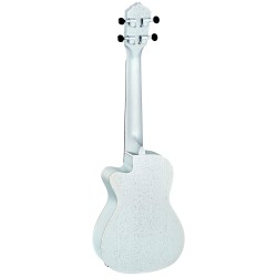 Ortega RU Silver-CE