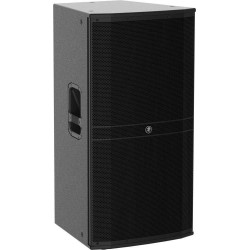 Mackie DRM315-P