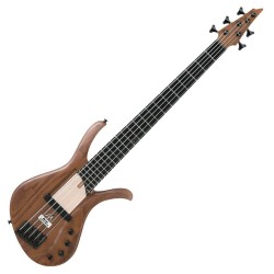 Ibanez AFR5WAP-NTF con Custodia