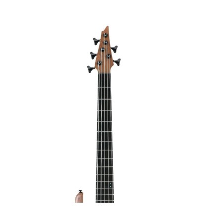 Ibanez AFR5WAP-NTF con Custodia