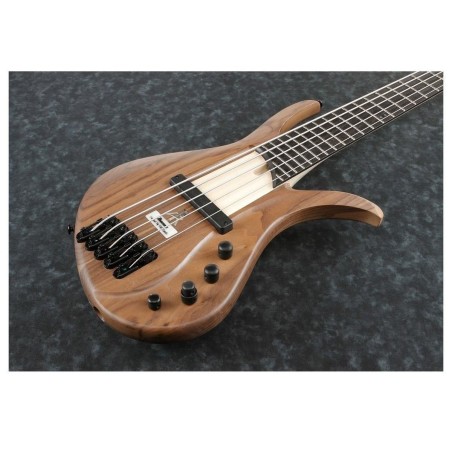 Ibanez AFR5WAP-NTF con Custodia