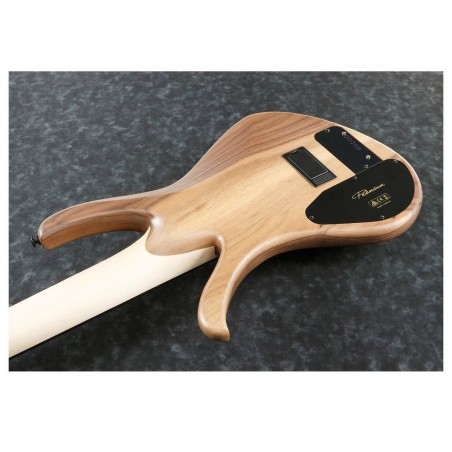 Ibanez AFR5WAP-NTF con Custodia
