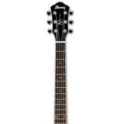 Ibanez JSA5-VB Vintage Burst High Gloss