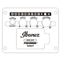 Ibanez AW54CE-OPN