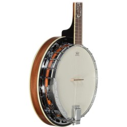 Ibanez B200