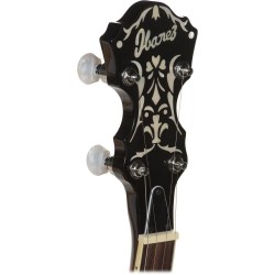 Ibanez B200