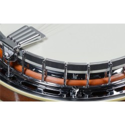 Ibanez B200