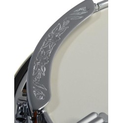 Ibanez B200