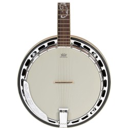 Ibanez B200
