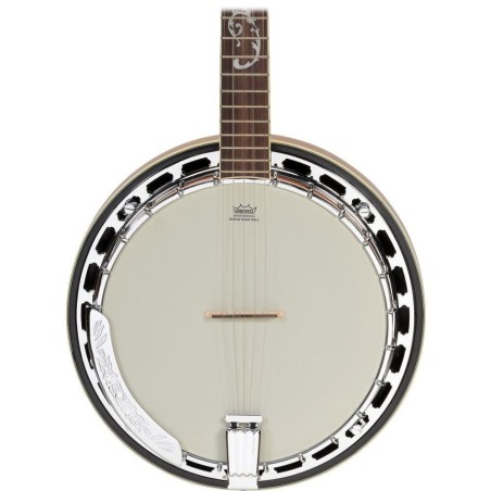 Ibanez B200