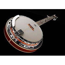 Ibanez B200