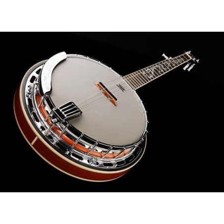 Ibanez B200