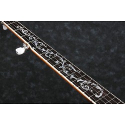 Ibanez B200