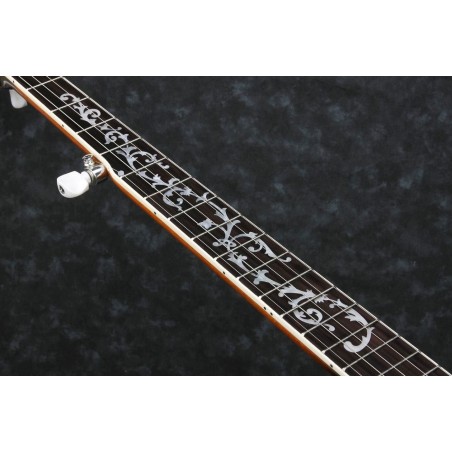 Ibanez B200