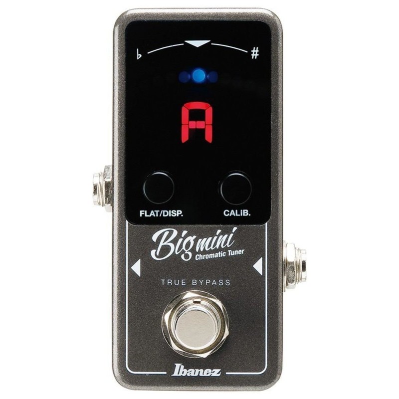 Ibanez BigMini