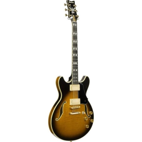 Ibanez JSM100-VT Con Astuccio