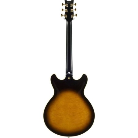 Ibanez JSM100-VT Con Astuccio