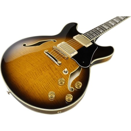 Ibanez JSM100-VT Con Astuccio