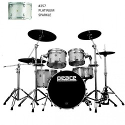 Peace DP-22PG-5