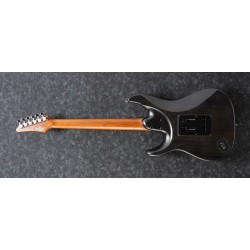 Ibanez EH10-TGM