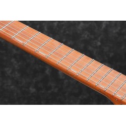 Ibanez EH10-TGM