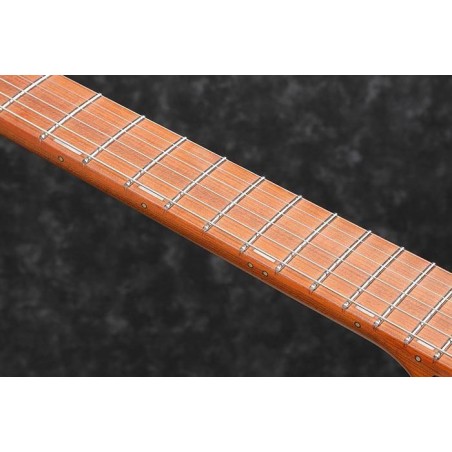 Ibanez EH10-TGM