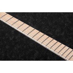 Ibanez RG5120M-FCN Frozen Ocean
