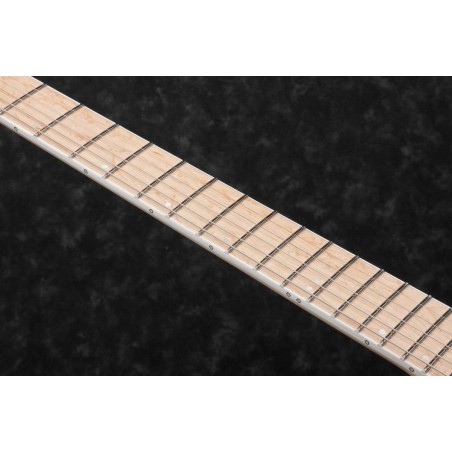 Ibanez RG5120M-FCN Frozen Ocean