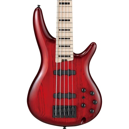 Ibanez ANB205-TWB Transparent Wine Red Burst