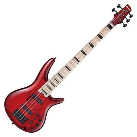 Ibanez ANB205-TWB Transparent Wine Red Burst