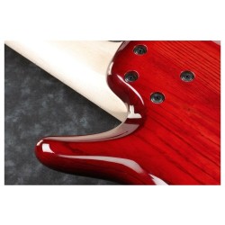 Ibanez ANB205-TWB Transparent Wine Red Burst