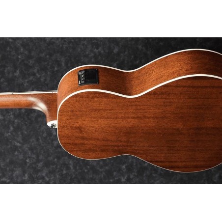 Ibanez PNB14E-OPN