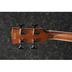 Ibanez PNB14E-OPN