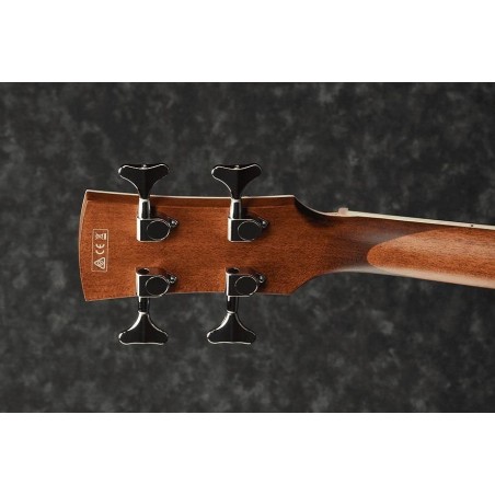 Ibanez PNB14E-OPN