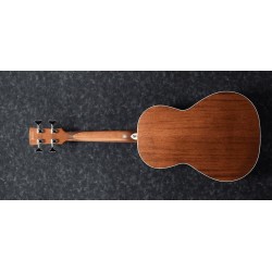Ibanez PNB14E-OPN