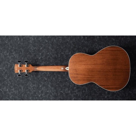 Ibanez PNB14E-OPN